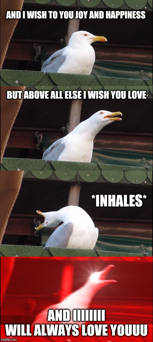 Inhaling Seagull Meme | AND I WISH TO YOU JOY AND HAPPINESS; BUT ABOVE ALL ELSE I WISH YOU LOVE; *INHALES*; AND IIIIIIII WILL ALWAYS LOVE YOUUU | image tagged in memes,inhaling seagull | made w/ Imgflip meme maker