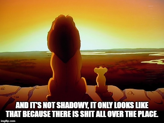 Lion King Meme | AND IT'S NOT SHADOWY, IT ONLY LOOKS LIKE THAT BECAUSE THERE IS SHIT ALL OVER THE PLACE. | image tagged in memes,lion king | made w/ Imgflip meme maker