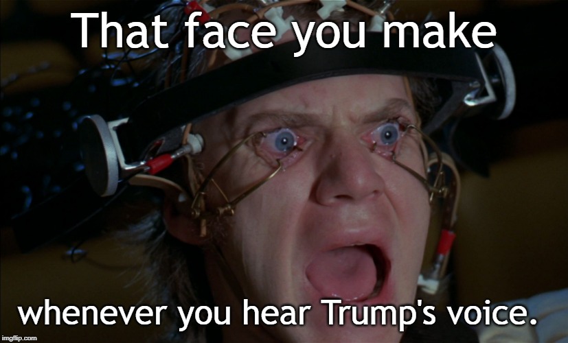 Clockwork Orange | That face you make; whenever you hear Trump's voice. | image tagged in clockwork orange | made w/ Imgflip meme maker