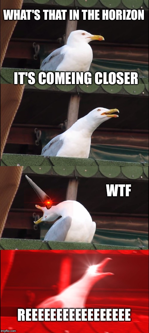 Inhaling Seagull | WHAT'S THAT IN THE HORIZON; IT'S COMEING CLOSER; WTF; REEEEEEEEEEEEEEEEE | image tagged in memes,inhaling seagull | made w/ Imgflip meme maker