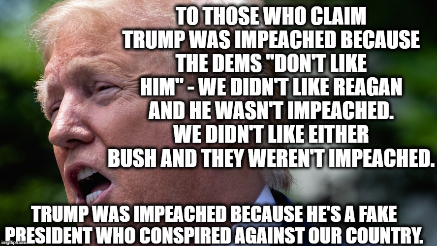 Your Stupid Opinions About It Are Wrong | TO THOSE WHO CLAIM TRUMP WAS IMPEACHED BECAUSE THE DEMS "DON'T LIKE HIM" - WE DIDN'T LIKE REAGAN AND HE WASN'T IMPEACHED. WE DIDN'T LIKE EITHER BUSH AND THEY WEREN'T IMPEACHED. TRUMP WAS IMPEACHED BECAUSE HE'S A FAKE PRESIDENT WHO CONSPIRED AGAINST OUR COUNTRY. | image tagged in impeachment,impeach trump,donald trump,ronald reagan,george bush,constitution | made w/ Imgflip meme maker