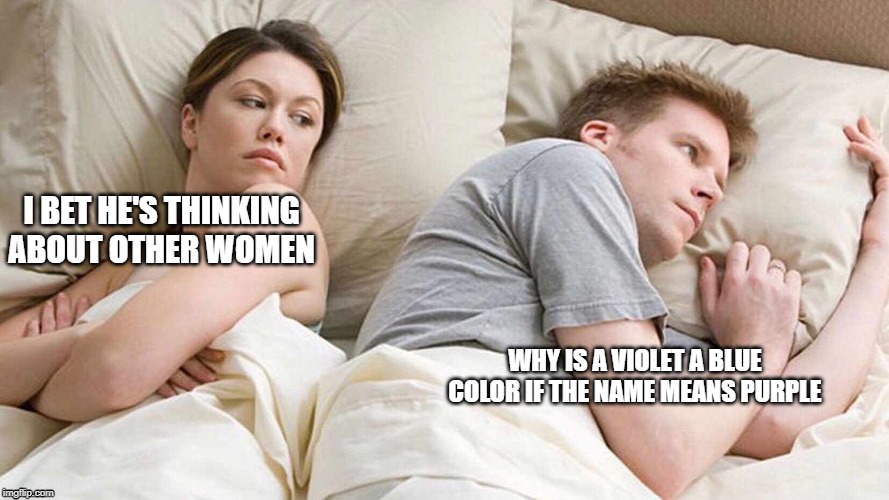 I Bet He's Thinking About Other Women Meme | I BET HE'S THINKING ABOUT OTHER WOMEN; WHY IS A VIOLET A BLUE COLOR IF THE NAME MEANS PURPLE | image tagged in i bet he's thinking about other women | made w/ Imgflip meme maker