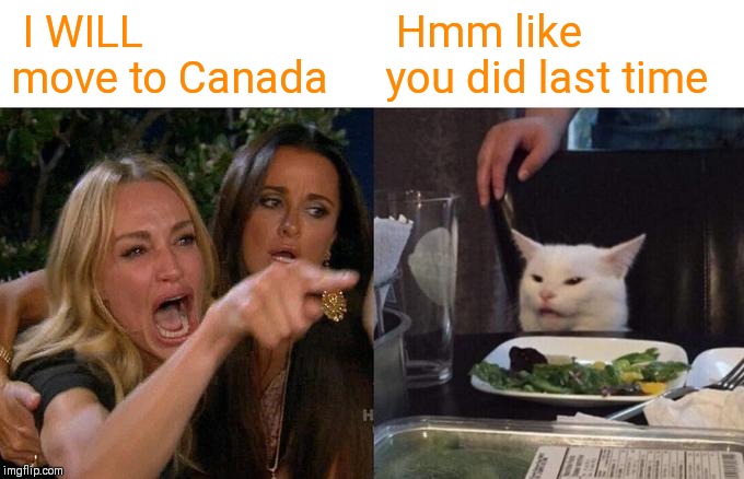 Woman Yelling At Cat | I WILL move to Canada; Hmm like you did last time | image tagged in memes,woman yelling at cat | made w/ Imgflip meme maker