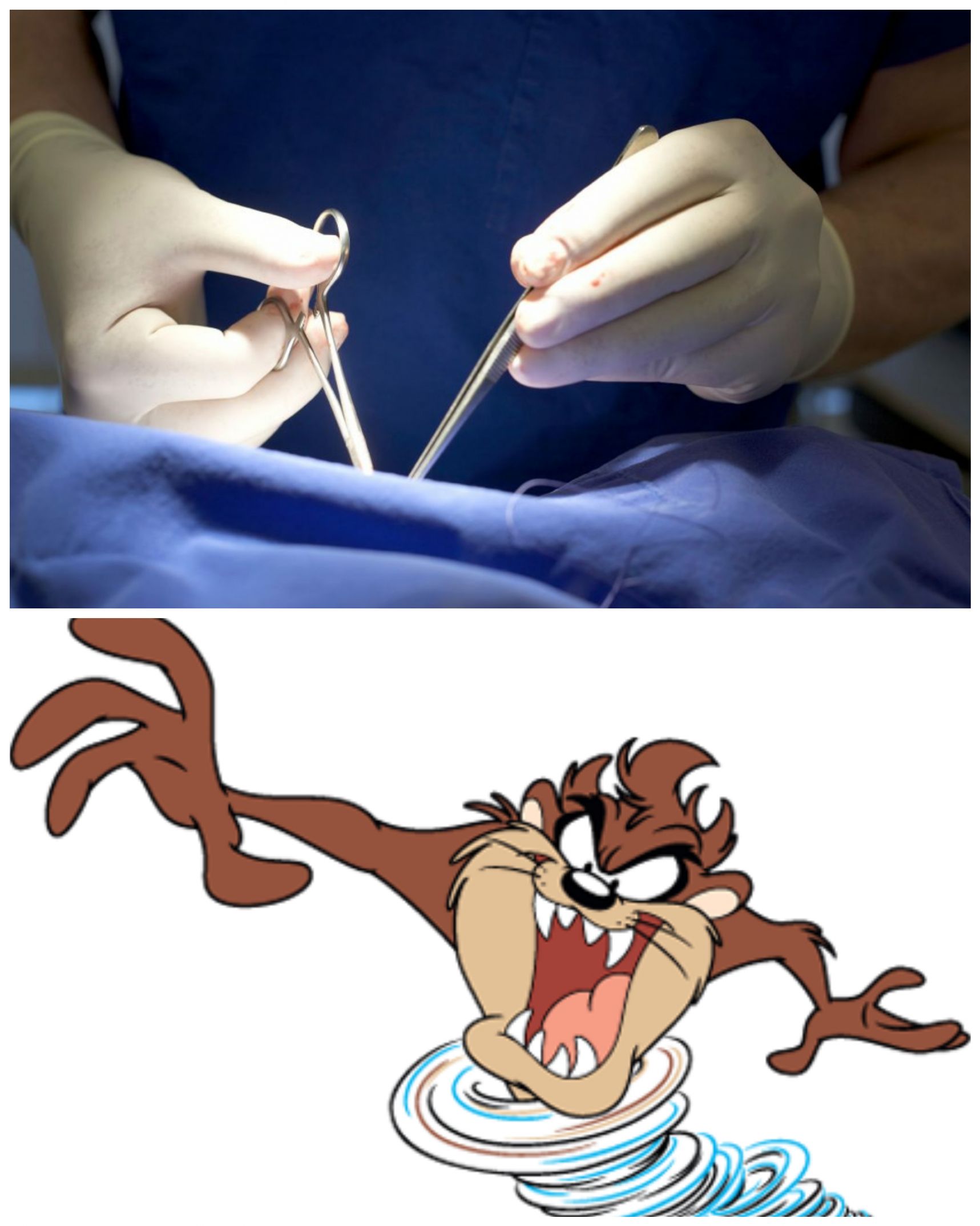 Surgeon vs. Taz Blank Meme Template