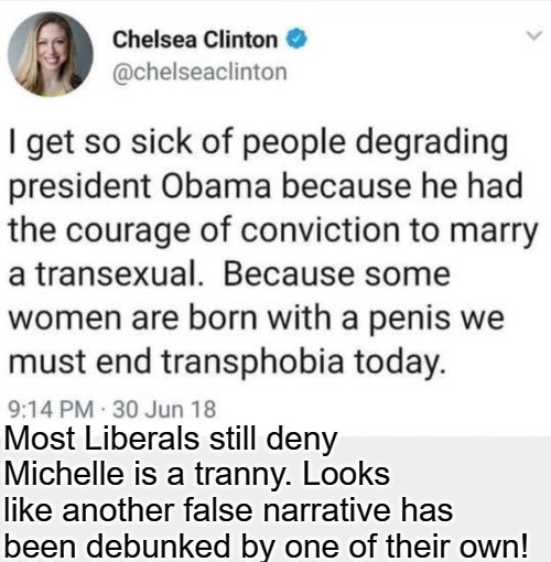 Chelsea Clinton still thinks some women are born with a penis | image tagged in dumb blonde,chelsea clinton,bubba and barack,michelle obama,michael lavaughn robinson,tired of hearing about transgenders | made w/ Imgflip meme maker