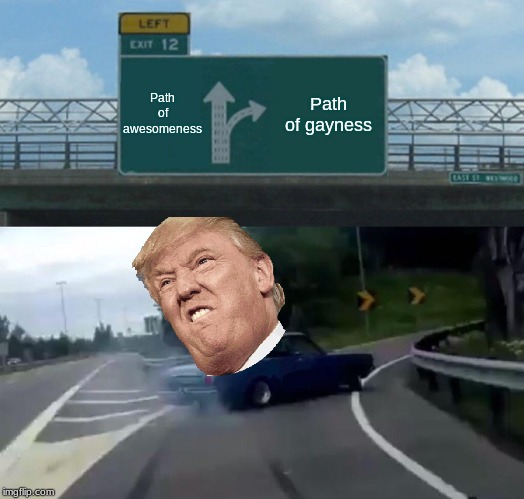 Left Exit 12 Off Ramp Meme | Path of awesomeness; Path of gayness | image tagged in memes,left exit 12 off ramp | made w/ Imgflip meme maker