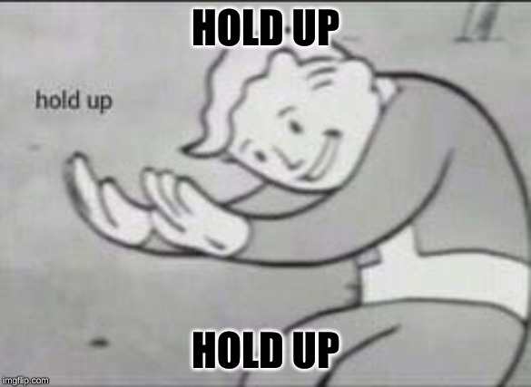 Fallout Hold Up | HOLD UP HOLD UP | image tagged in fallout hold up | made w/ Imgflip meme maker