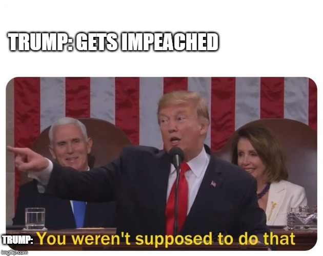 You weren't supposed to do that | TRUMP: GETS IMPEACHED; TRUMP: | image tagged in you weren't supposed to do that | made w/ Imgflip meme maker