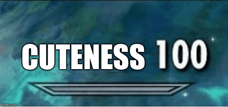 Skyrim 100 Blank | CUTENESS | image tagged in skyrim 100 blank | made w/ Imgflip meme maker
