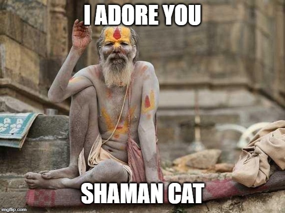 Hindu shaman  | I ADORE YOU SHAMAN CAT | image tagged in hindu shaman | made w/ Imgflip meme maker