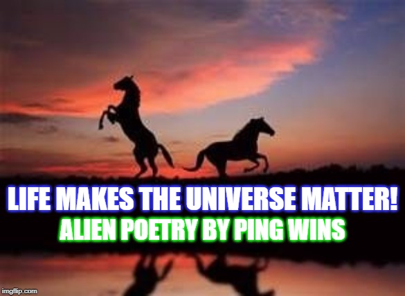 Alien Poetry by Ping Wins 008 Life Matters | LIFE MAKES THE UNIVERSE MATTER! ALIEN POETRY BY PING WINS | image tagged in sunset with horses,alien poetry,ping wins,universe | made w/ Imgflip meme maker