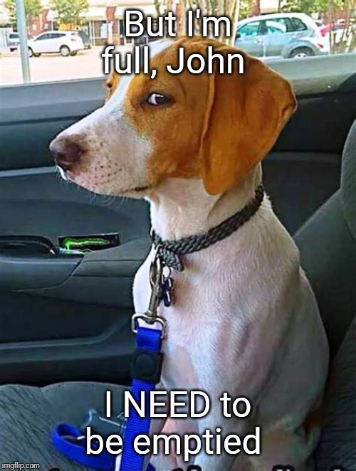 But I'm full, John I NEED to be emptied | made w/ Imgflip meme maker