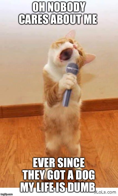 Cat Singer | OH NOBODY CARES ABOUT ME; EVER SINCE THEY GOT A DOG MY LIFE IS DUMB | image tagged in cat singer | made w/ Imgflip meme maker