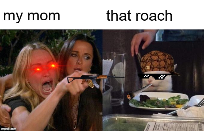 Woman Yelling At Cat Meme | my mom; that roach | image tagged in memes,woman yelling at cat | made w/ Imgflip meme maker