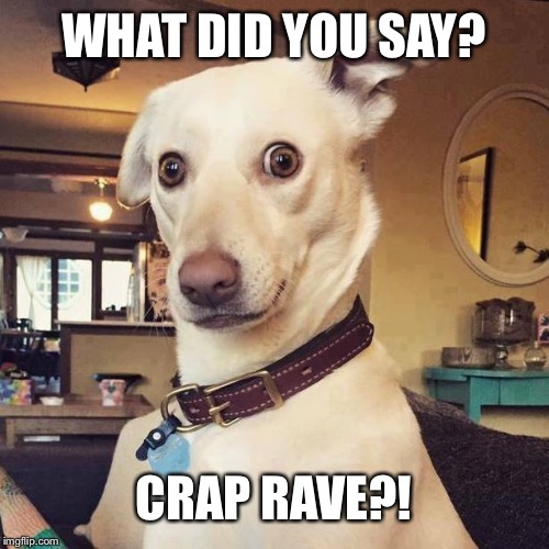 What did you say! | WHAT DID YOU SAY? CRAP RAVE?! | image tagged in what did you say | made w/ Imgflip meme maker
