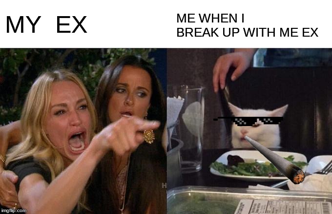 Woman Yelling At Cat Meme | MY  EX; ME WHEN I BREAK UP WITH ME EX | image tagged in memes,woman yelling at cat | made w/ Imgflip meme maker