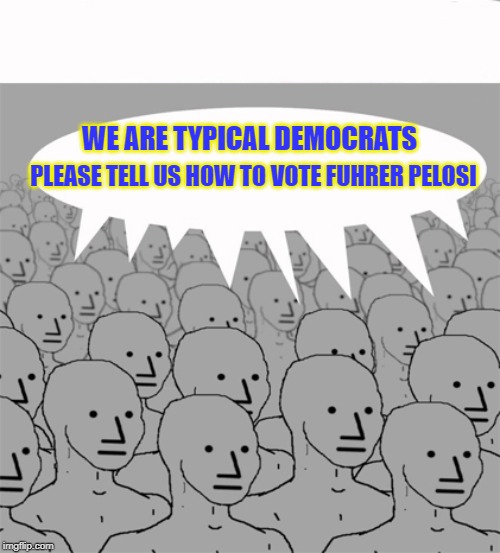 NPCProgramScreed | WE ARE TYPICAL DEMOCRATS; PLEASE TELL US HOW TO VOTE FUHRER PELOSI | image tagged in npcprogramscreed | made w/ Imgflip meme maker