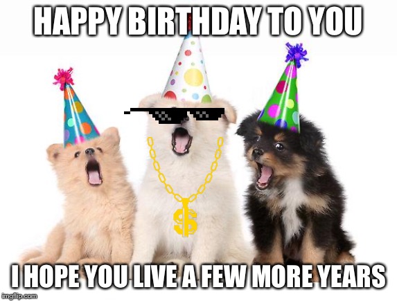 happy birthday puppies | HAPPY BIRTHDAY TO YOU; I HOPE YOU LIVE A FEW MORE YEARS | image tagged in happy birthday puppies | made w/ Imgflip meme maker