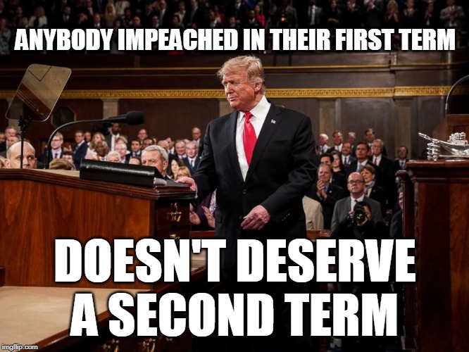 ANYBODY IMPEACHED IN THEIR FIRST TERM; DOESN'T DESERVE A SECOND TERM | image tagged in trump | made w/ Imgflip meme maker