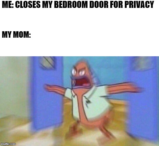 I just want to be left alone! | ME: CLOSES MY BEDROOM DOOR FOR PRIVACY; MY MOM: | image tagged in spongebob | made w/ Imgflip meme maker