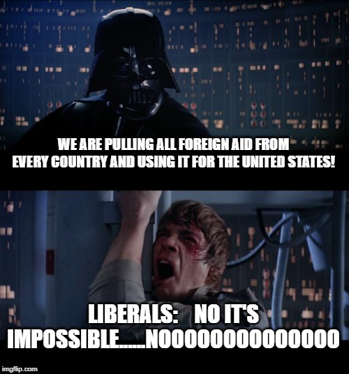 Star Wars No | WE ARE PULLING ALL FOREIGN AID FROM EVERY COUNTRY AND USING IT FOR THE UNITED STATES! LIBERALS:    NO IT'S IMPOSSIBLE......NOOOOOOOOOOOOOO | image tagged in memes,star wars no | made w/ Imgflip meme maker
