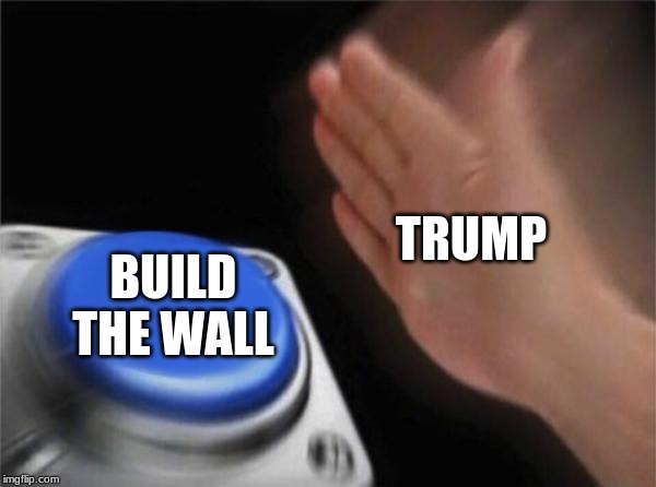 This one is old but dont judge pls | TRUMP; BUILD THE WALL | image tagged in memes,blank nut button | made w/ Imgflip meme maker