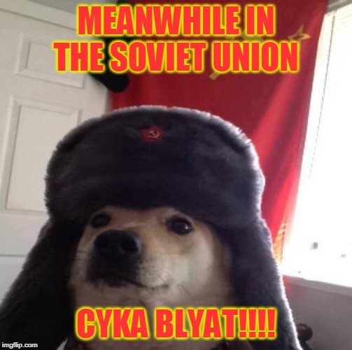 Russian Doge | MEANWHILE IN THE SOVIET UNION; CYKA BLYAT!!!! | image tagged in russian doge | made w/ Imgflip meme maker