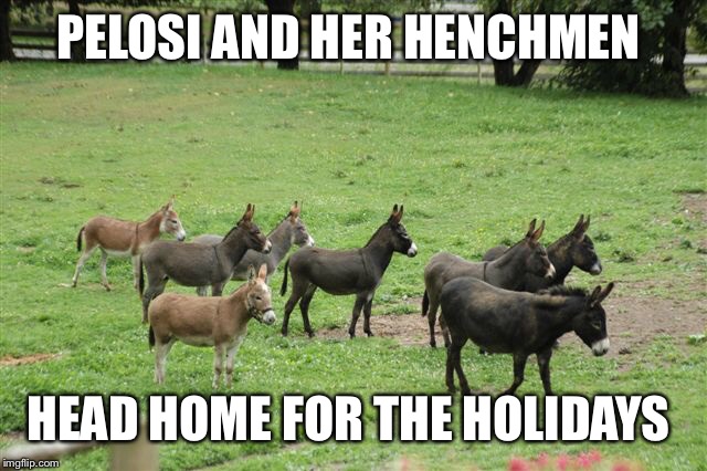 Jackasses |  PELOSI AND HER HENCHMEN; HEAD HOME FOR THE HOLIDAYS | image tagged in jackasses,nancy pelosi,democrats,impeachment,congress | made w/ Imgflip meme maker