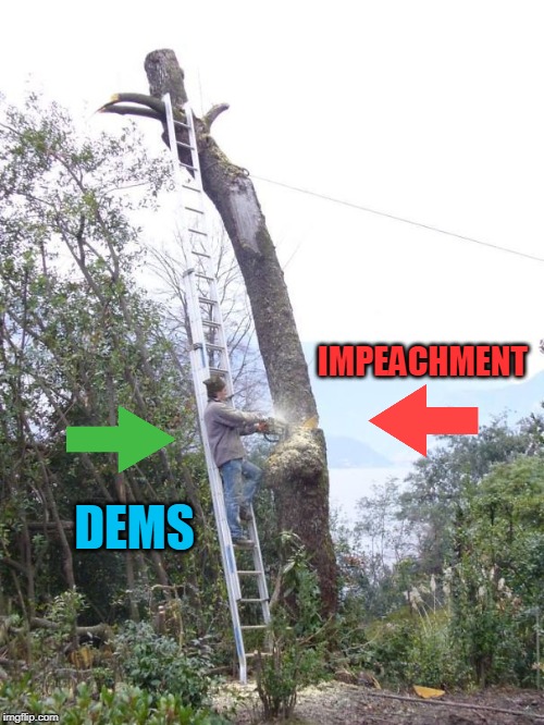 self inflicted | IMPEACHMENT; DEMS | image tagged in politics,impeachment | made w/ Imgflip meme maker