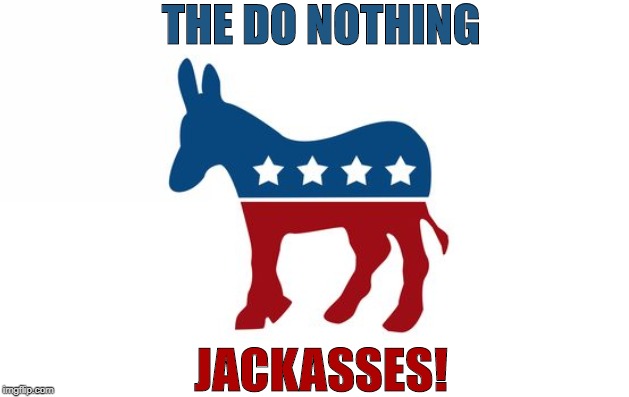 the do nothing jackasses! | THE DO NOTHING; JACKASSES! | image tagged in politics,democrats | made w/ Imgflip meme maker