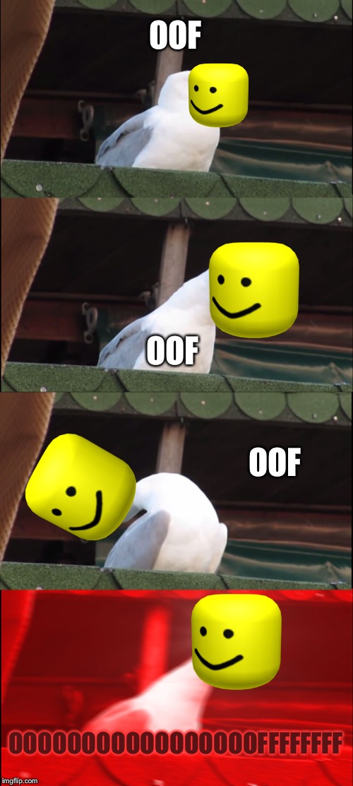 Inhaling Seagull | OOF; OOF; OOF; OOOOOOOOOOOOOOOOOFFFFFFFF | image tagged in memes,inhaling seagull | made w/ Imgflip meme maker