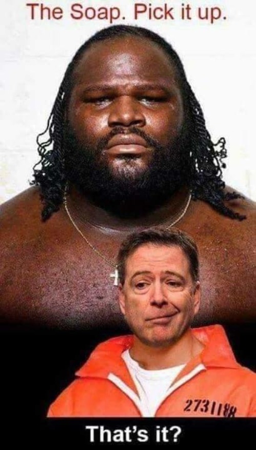 Pick up the soap, Comey! | image tagged in fbi director james comey,mean al green,come for prison,james comey,al green,treason | made w/ Imgflip meme maker