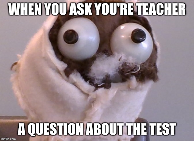 WHEN YOU ASK YOU'RE TEACHER; A QUESTION ABOUT THE TEST | image tagged in school,messed up,photo on my phone | made w/ Imgflip meme maker