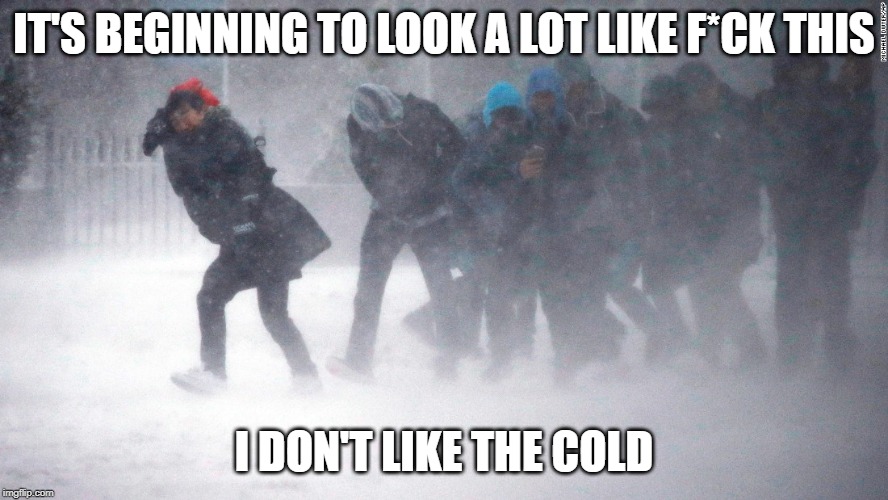 Blizzard | IT'S BEGINNING TO LOOK A LOT LIKE F*CK THIS; I DON'T LIKE THE COLD | image tagged in blizzard | made w/ Imgflip meme maker