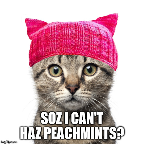 peachmints | SOZ I CAN'T HAZ PEACHMINTS? | image tagged in peach | made w/ Imgflip meme maker