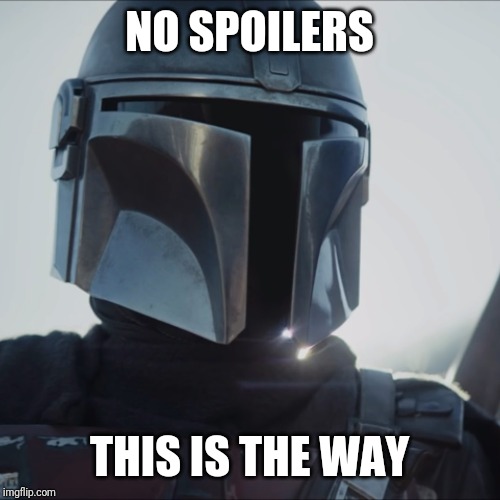 I LIKE THOSE ODDS - MANDALORIAN | NO SPOILERS; THIS IS THE WAY | image tagged in i like those odds - mandalorian | made w/ Imgflip meme maker