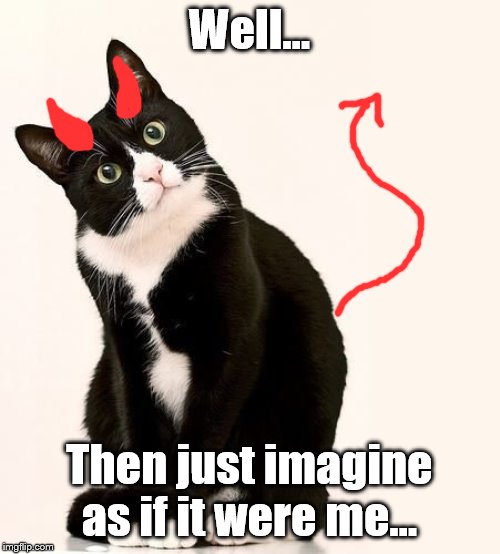 Tuxedo Cat | Well... Then just imagine as if it were me... | image tagged in tuxedo cat | made w/ Imgflip meme maker