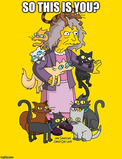 Crazy Cat Lady | SO THIS IS YOU? | image tagged in crazy cat lady | made w/ Imgflip meme maker