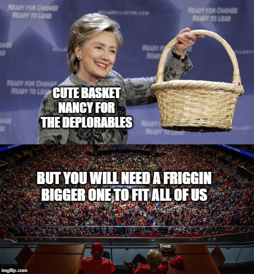 CUTE BASKET NANCY FOR THE DEPLORABLES; BUT YOU WILL NEED A FRIGGIN BIGGER ONE TO FIT ALL OF US | image tagged in basket of deplorables | made w/ Imgflip meme maker