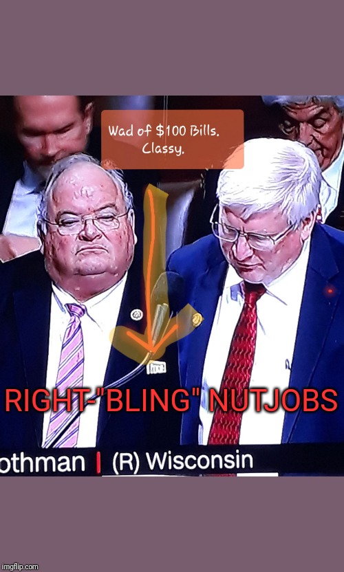 RIGHT-"BLING" NUTJOBS | RIGHT-"BLING" NUTJOBS | image tagged in right-bling nutjobs | made w/ Imgflip meme maker