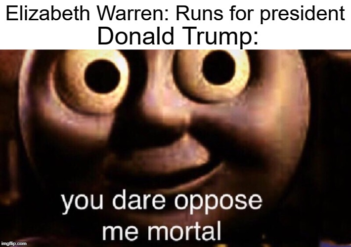 run for pres | Elizabeth Warren: Runs for president; Donald Trump: | image tagged in you dare oppose me mortal,funny,memes,donald trump,elizabeth warren | made w/ Imgflip meme maker
