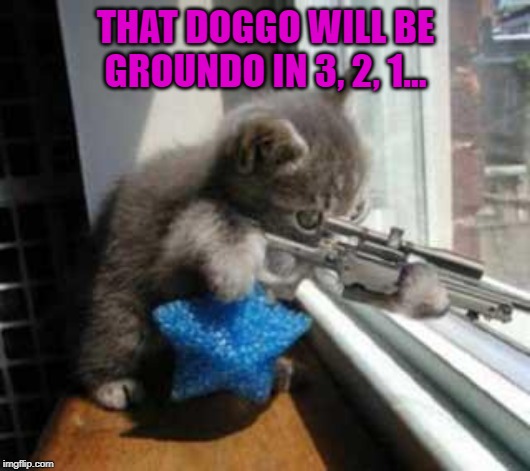 CatSniper | THAT DOGGO WILL BE GROUNDO IN 3, 2, 1... | image tagged in catsniper | made w/ Imgflip meme maker