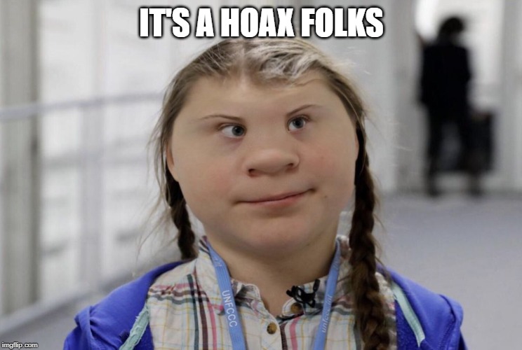 Angry Climate Activist Greta Thunberg | IT'S A HOAX FOLKS | image tagged in angry climate activist greta thunberg | made w/ Imgflip meme maker