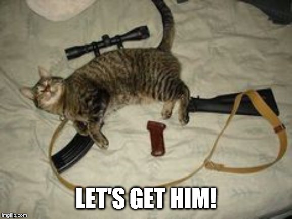 Cat Gun | LET'S GET HIM! | image tagged in cat gun | made w/ Imgflip meme maker