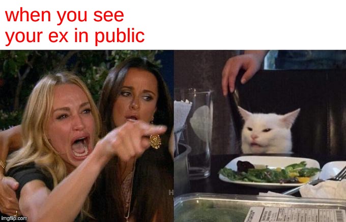 Woman Yelling At Cat Meme | when you see your ex in public | image tagged in memes,woman yelling at cat | made w/ Imgflip meme maker