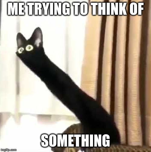 Long Neck Cat | ME TRYING TO THINK OF; SOMETHING | image tagged in long neck cat | made w/ Imgflip meme maker