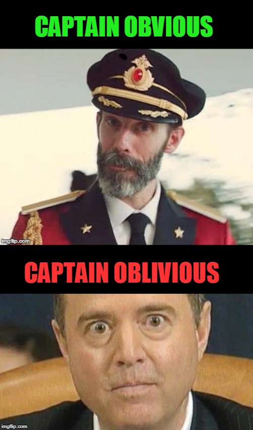 2 captains | CAPTAIN OBVIOUS; CAPTAIN OBLIVIOUS | image tagged in captain obvious,adam schiff weird eyes,politics,see you in november,drain the swamp | made w/ Imgflip meme maker