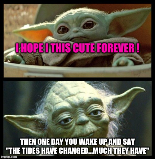 baby yoda | I HOPE I THIS CUTE FOREVER ! THEN ONE DAY YOU WAKE UP AND SAY "THE TIDES HAVE CHANGED...MUCH THEY HAVE" | image tagged in baby yoda | made w/ Imgflip meme maker