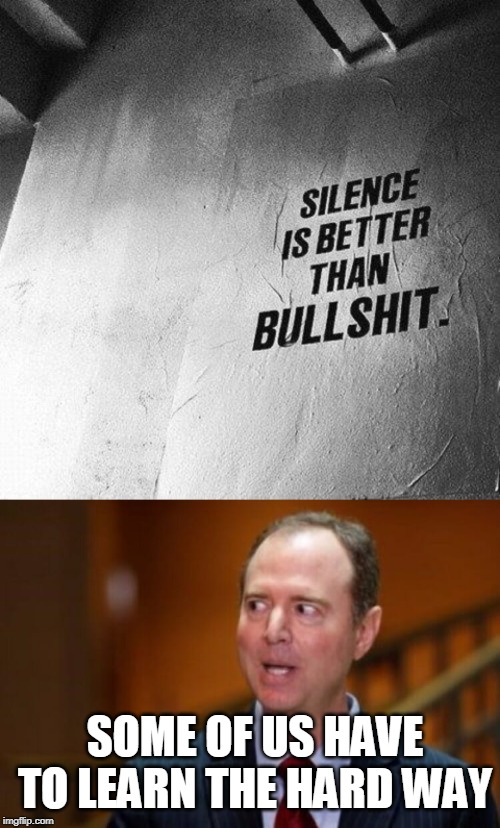 bullschiff | SOME OF US HAVE TO LEARN THE HARD WAY | image tagged in adam schiff,bullshit | made w/ Imgflip meme maker