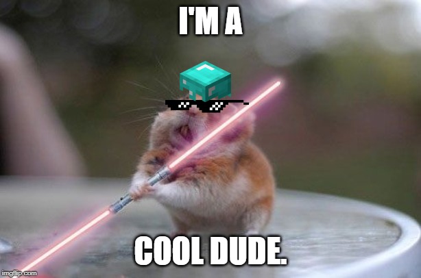 Star Wars hamster | I'M A; COOL DUDE. | image tagged in star wars hamster | made w/ Imgflip meme maker